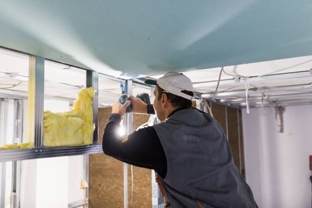 Best Specialized Insulation Services in Del Rey, CA