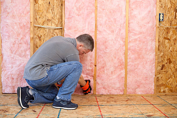 Best Blown-in Insulation in Del Rey, CA