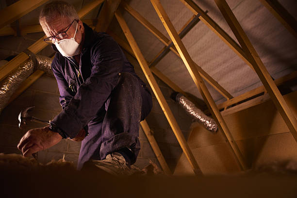 Best DIY Insulation Kits and Guidance in Del Rey, CA