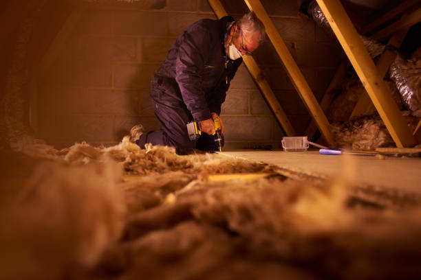 Best Spray Foam Insulation in Del Rey, CA