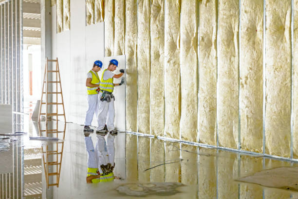 Best Commercial Insulation in Del Rey, CA